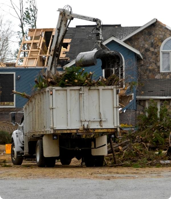 Helping Helotes Trees