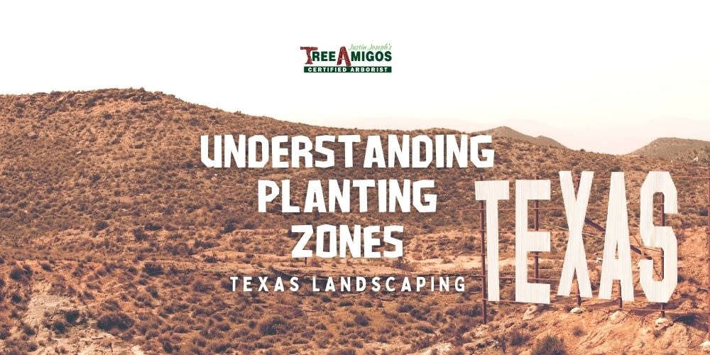 Understanding Planting Zones for Texas Landscaping