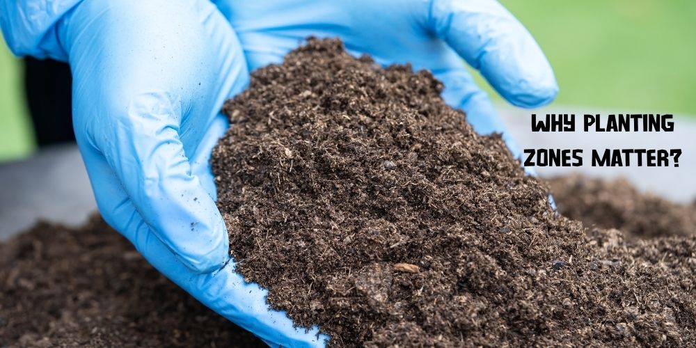 Why Planting Zones Matter