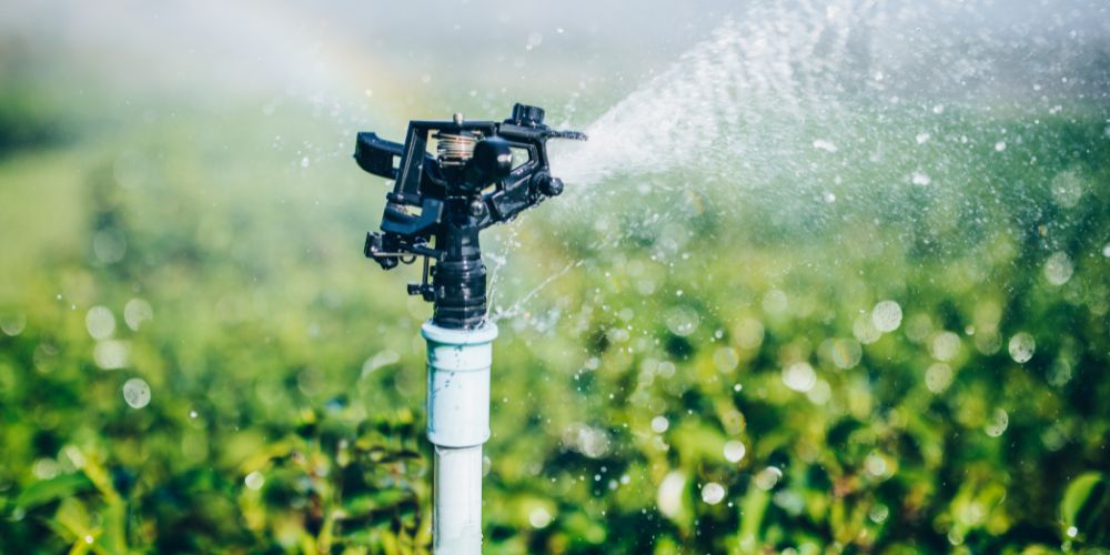 Let Smart Irrigation Do the Thinking