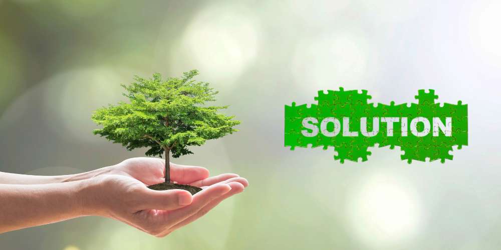 Prevention and Solutions – How to Prevent Trees from Dying