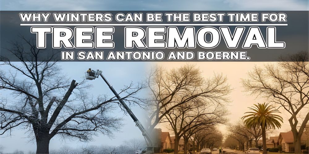 Image potraying different seasons in the US.