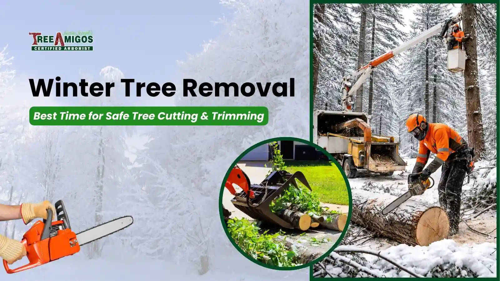 Winter Tree Removal Best Time for Safe Tree Cutting & Trimming