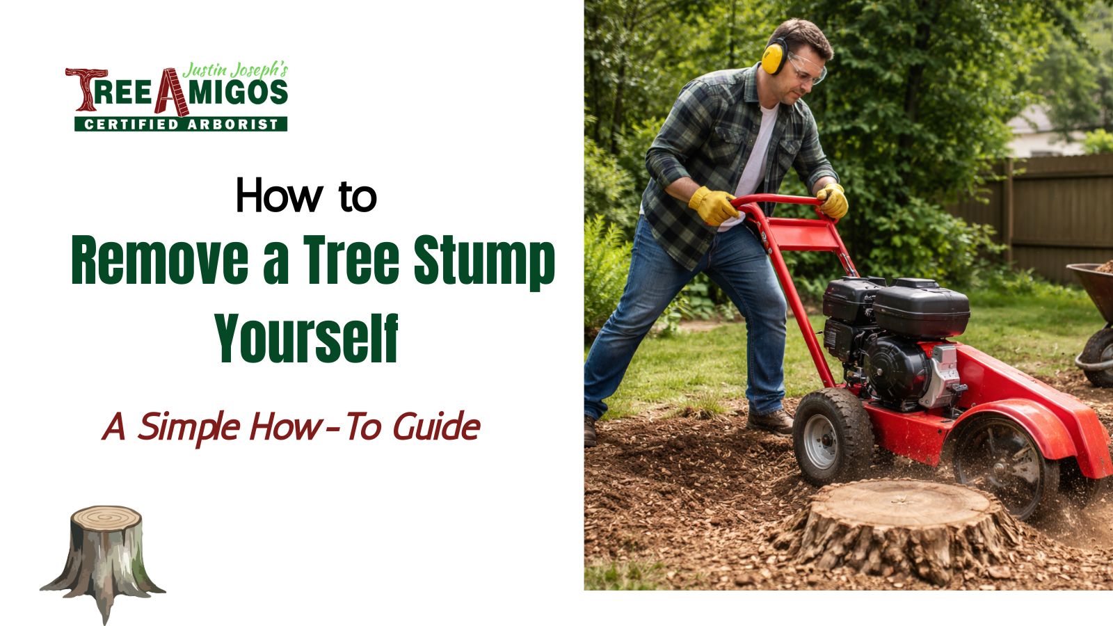 How to Remove a Tree Stump Yourself with a Stump Grinder