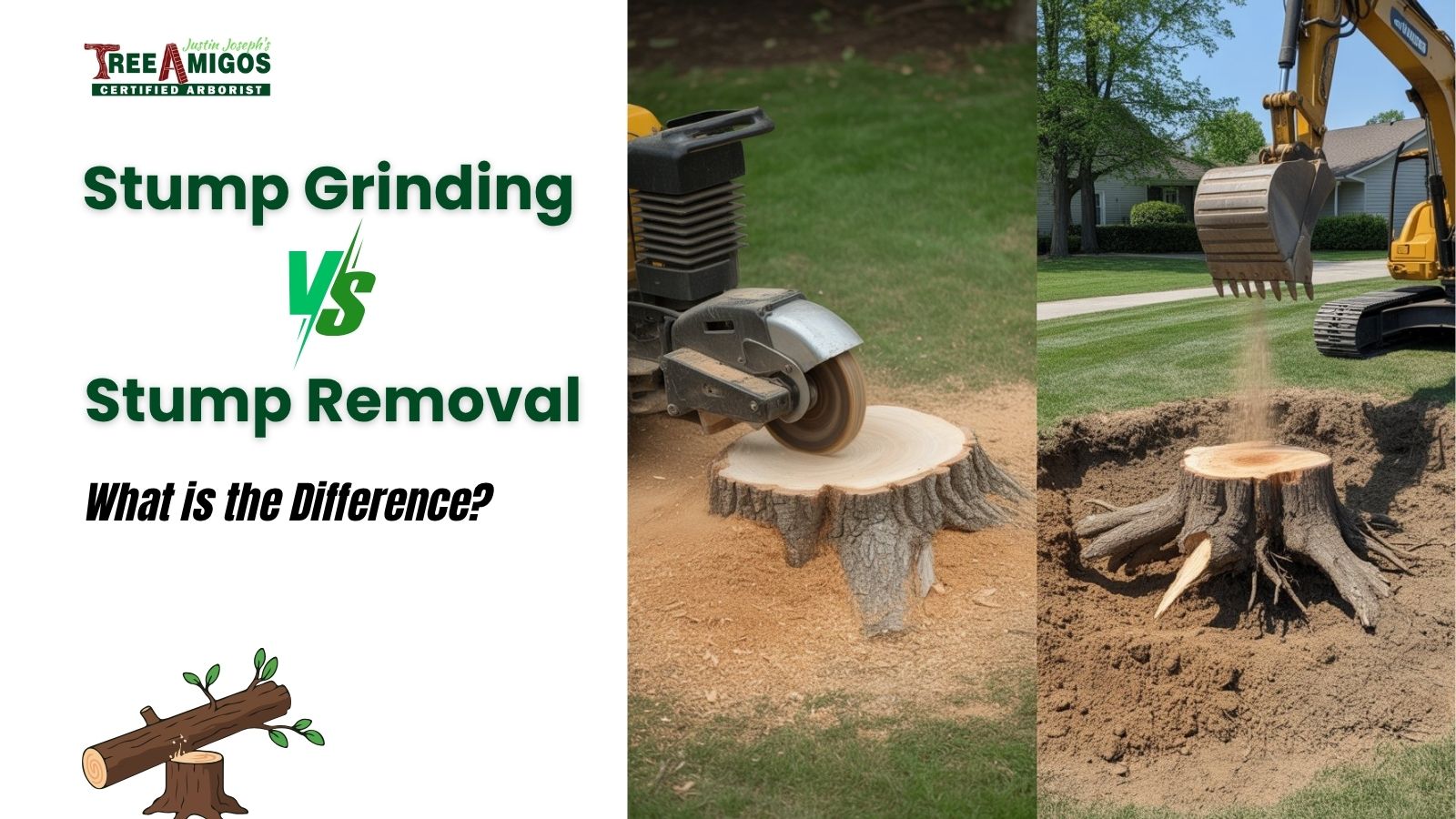 Stump Grinding vs Stump Removal What’s the Difference