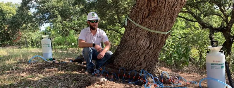 Expert-Arborist-Services-in-Boerne-and-San-Antonio